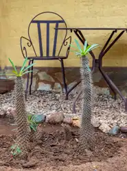 Hoedspruit Bush Cottage