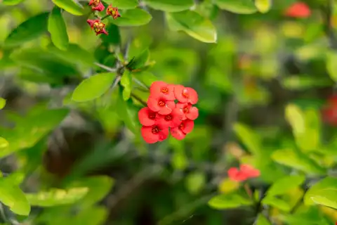 Hoedspruit Bush Cottage