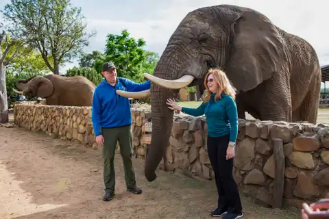 © Elephants Moments