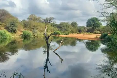 Hoedspruit Bush Cottage