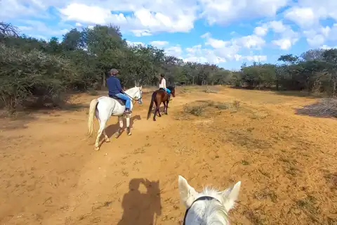 Hoedspruit Bush Cottage