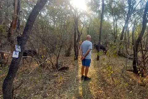 Hoedspruit Bush Cottage