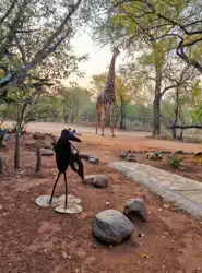 Hoedspruit Bush Cottage