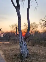 Hoedspruit Bush Cottage