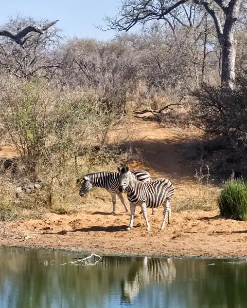 Hoedspruit Bush Cottage