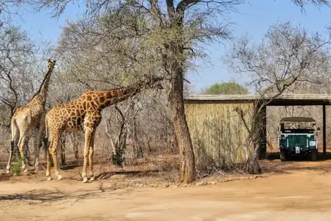 Hoedspruit Bush Cottage