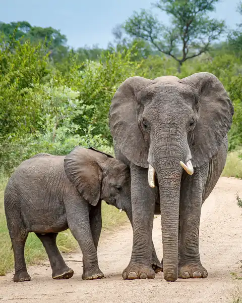 © The Guys - Professional Photographers & Designers - www.theguys.co.za