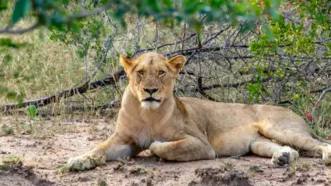 © The Guys - Professional Photographers & Designers - www.theguys.co.za